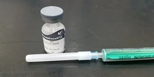 Vial de otra vacuna para gatos junto a una jeringuilla